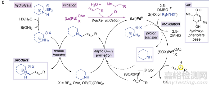 最新Science：胺類藥物合成取得突破！或可流水線生產(chǎn)！
