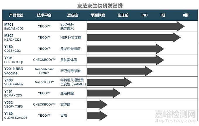 1+1＞2，雙特異性抗體的最新研究進(jìn)展