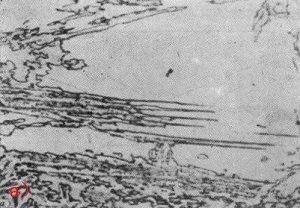 貝氏體的形成條件、組織形態(tài)和亞結(jié)構(gòu)