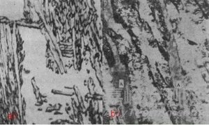 貝氏體的形成條件、組織形態(tài)和亞結(jié)構(gòu)