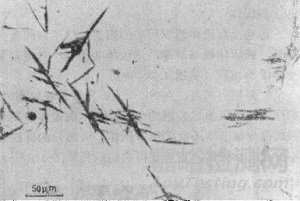 貝氏體的形成條件、組織形態(tài)和亞結(jié)構(gòu)