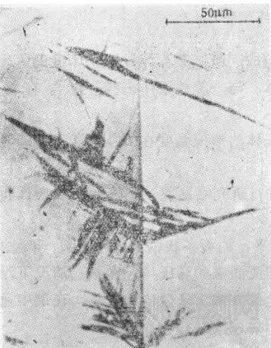 貝氏體的形成條件、組織形態(tài)和亞結(jié)構(gòu)