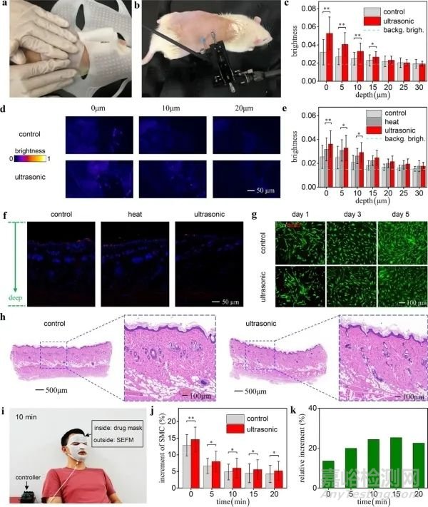 用于超聲促滲的可拉伸電子面膜研究獲進(jìn)展