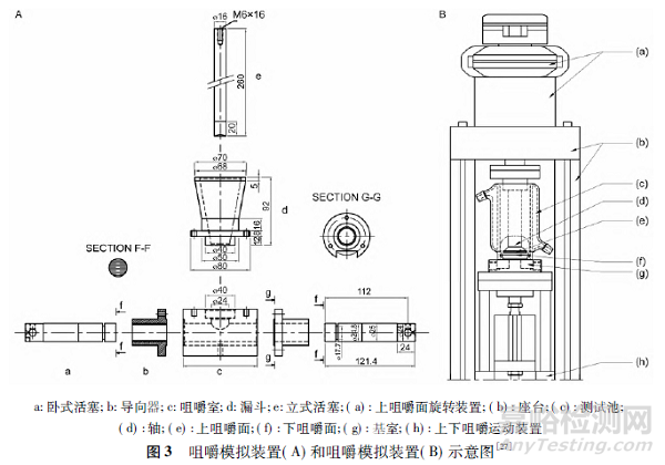 咀嚼片質(zhì)量評價方法研究進展