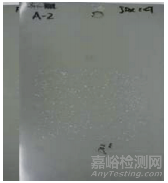 鋼鋁共線涂裝電泳涂膜耐循環(huán)腐蝕試驗(yàn)探討