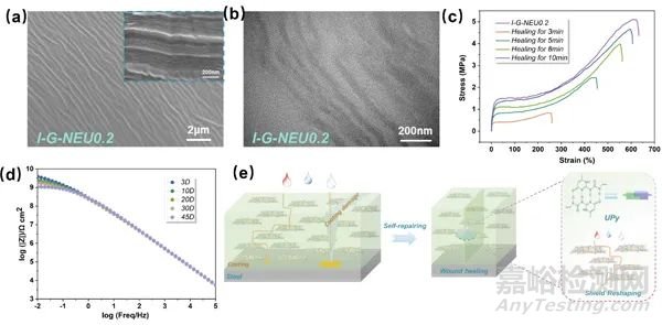 基于仿生結(jié)構(gòu)聚合物防護涂層設(shè)計制備研究獲進展