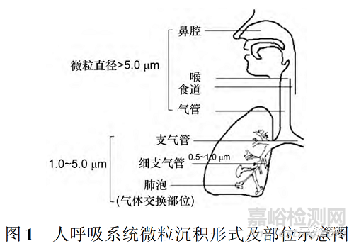 肺部給藥系統(tǒng)特點、吸入制劑劑型及代表產(chǎn)品