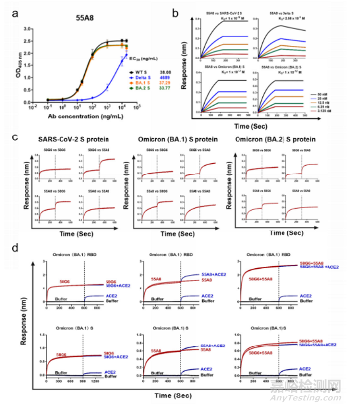 黃愛龍團隊成功研發(fā)鼻噴式中和抗體藥物對奧密克戎變異株具有良好的預(yù)防保護效果