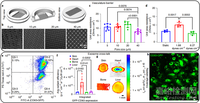 首個由人體組織制成的多器官芯片，可定制