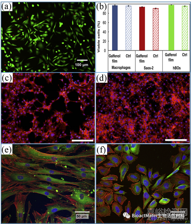 磁致伸縮合金的特點(diǎn)、制備與檢測方法