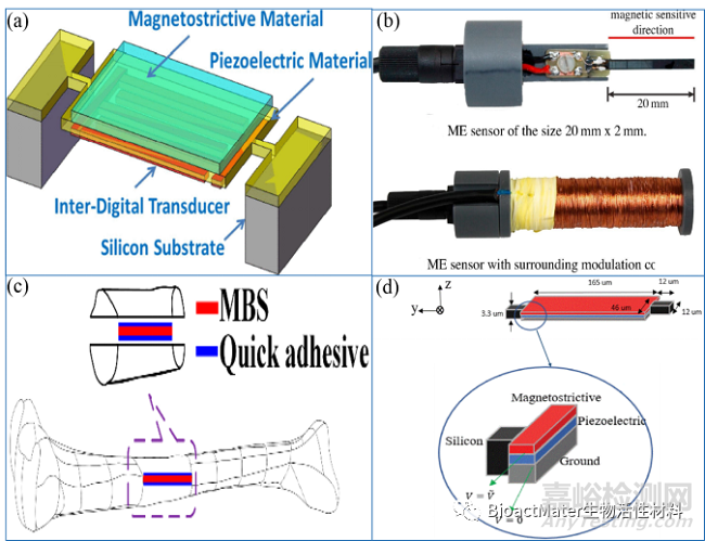 磁致伸縮合金的特點(diǎn)、制備與檢測方法