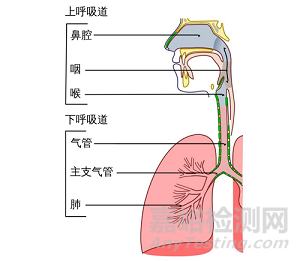 呼吸道病原體診斷行業(yè)發(fā)展概況