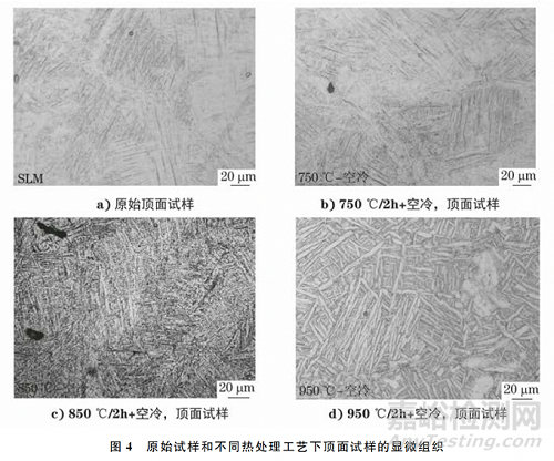 熱處理溫度對(duì)選擇性激光熔化TC4鈦合金板不同成形面組織和性能的影響