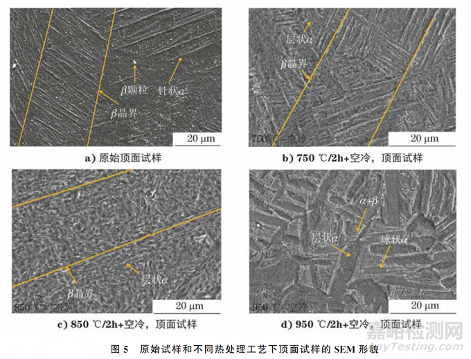 熱處理溫度對(duì)選擇性激光熔化TC4鈦合金板不同成形面組織和性能的影響