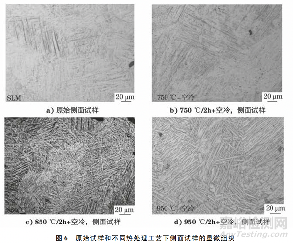 熱處理溫度對(duì)選擇性激光熔化TC4鈦合金板不同成形面組織和性能的影響
