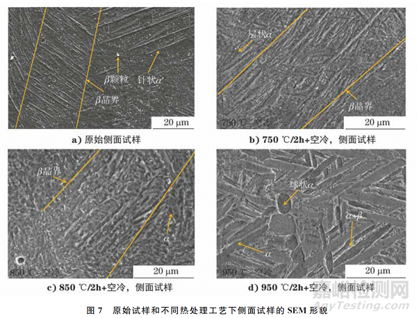 熱處理溫度對(duì)選擇性激光熔化TC4鈦合金板不同成形面組織和性能的影響