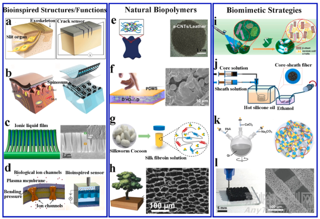 仿生可穿戴電子器件最新進(jìn)展