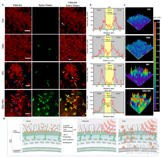 中藥抗菌取得突破！抗革蘭氏陽性菌藥物對陰性菌也有效