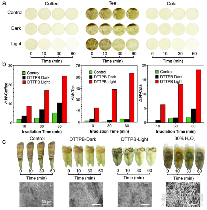 武漢大學(xué)使用光敏劑開發(fā)了可以同時(shí)抑制牙齒生物膜和促進(jìn)牙齒美白的高效光動(dòng)力治療策略