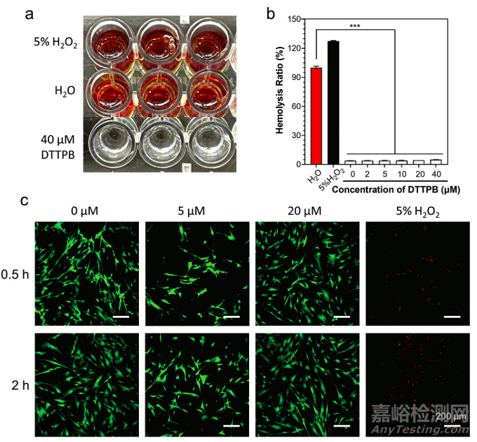 武漢大學(xué)使用光敏劑開發(fā)了可以同時(shí)抑制牙齒生物膜和促進(jìn)牙齒美白的高效光動(dòng)力治療策略