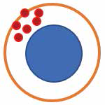 如何正確進(jìn)行儀器性能確認(rèn)（PQ）