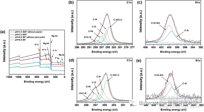 酶在模擬胃液和腸液中對(duì)鎂合金體外降解行為的影響