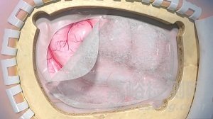 新型生物材料研發(fā)進展