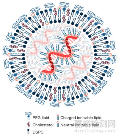 國(guó)產(chǎn)mRNA新冠疫苗研發(fā)需要突破哪些技術(shù)壁壘？