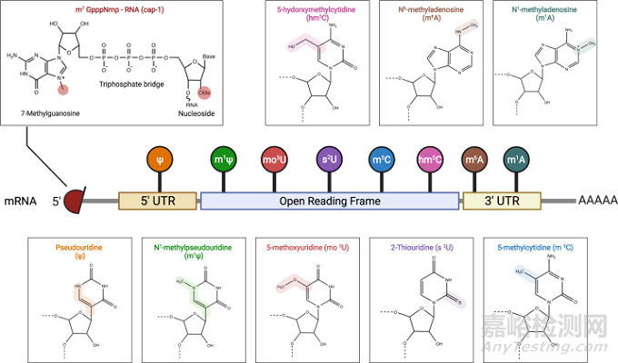 國(guó)產(chǎn)mRNA新冠疫苗研發(fā)需要突破哪些技術(shù)壁壘？