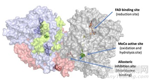 ?人工智能藥物設(shè)計的應(yīng)用與趨勢