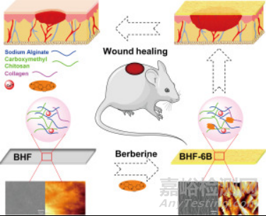 新型抗菌止血材料研究獲進(jìn)展