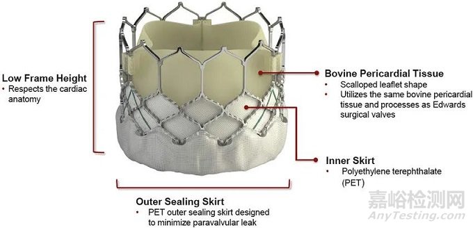 心臟瓣膜技術(shù)解析