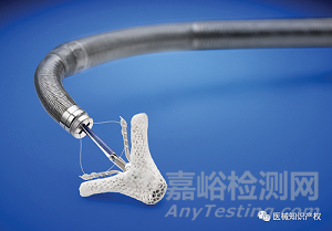 心臟瓣膜技術(shù)解析