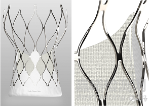 ?沛嘉醫(yī)療TaurusApex:首家公布實驗室及動物試驗數(shù)據(jù)的國產(chǎn)高分子介入瓣膜