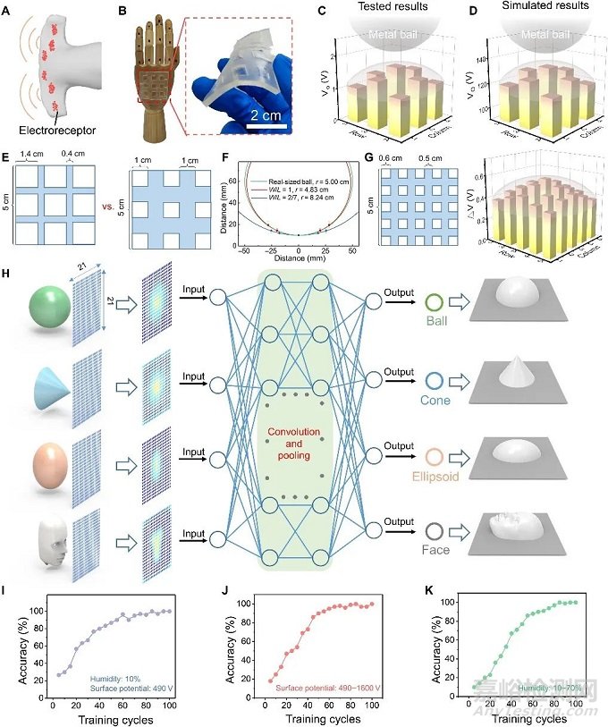 我國科學(xué)家開發(fā)出用于人工預(yù)接觸體感的仿生軟電感受器