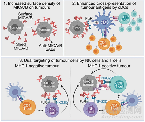 研究人員開(kāi)發(fā)出通用型腫瘤疫苗