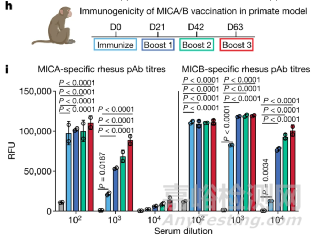 研究人員開(kāi)發(fā)出通用型腫瘤疫苗