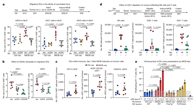 研究人員開(kāi)發(fā)出通用型腫瘤疫苗
