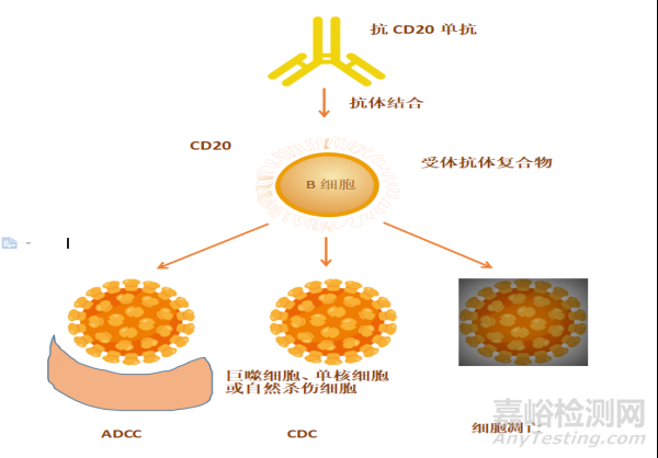 生物類似藥藥學(xué)研究主要技術(shù)要求與市場(chǎng)分析