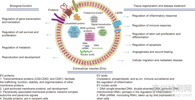 生物可降解材料與組織工程神經(jīng)