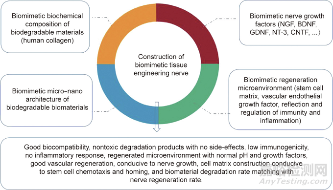 生物可降解材料與組織工程神經(jīng)