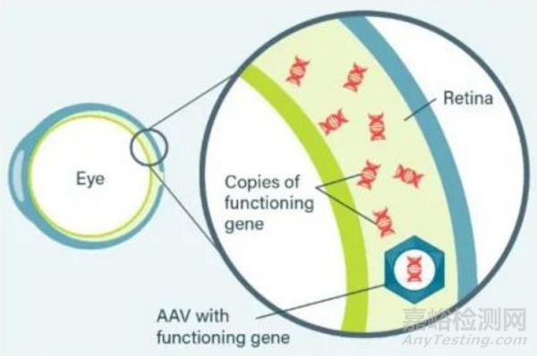 眼科藥物現(xiàn)狀研究分析