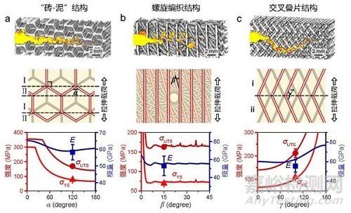 仿生材料結(jié)構(gòu)優(yōu)化設(shè)計(jì)研究取得新進(jìn)展