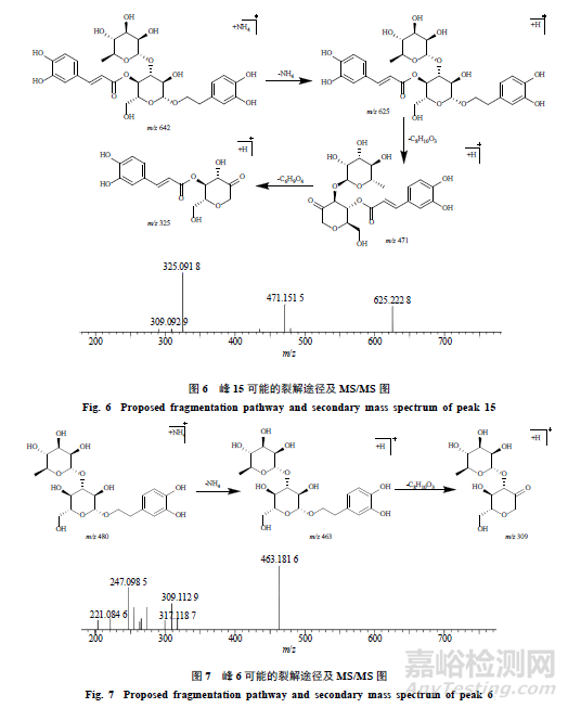 pH對(duì)毛蕊花糖苷穩(wěn)定性影響及降解產(chǎn)物分析