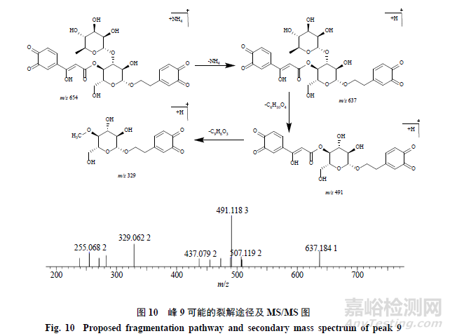 pH對(duì)毛蕊花糖苷穩(wěn)定性影響及降解產(chǎn)物分析