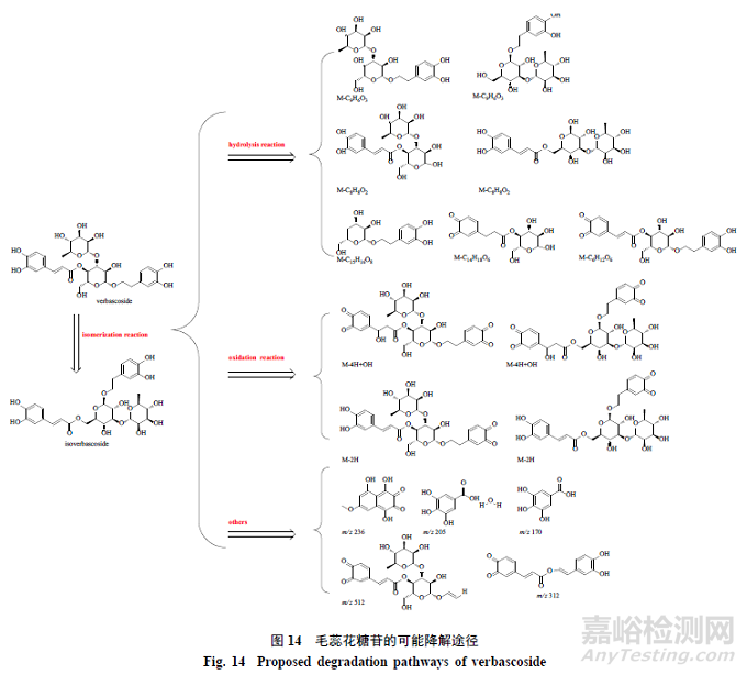 pH對(duì)毛蕊花糖苷穩(wěn)定性影響及降解產(chǎn)物分析