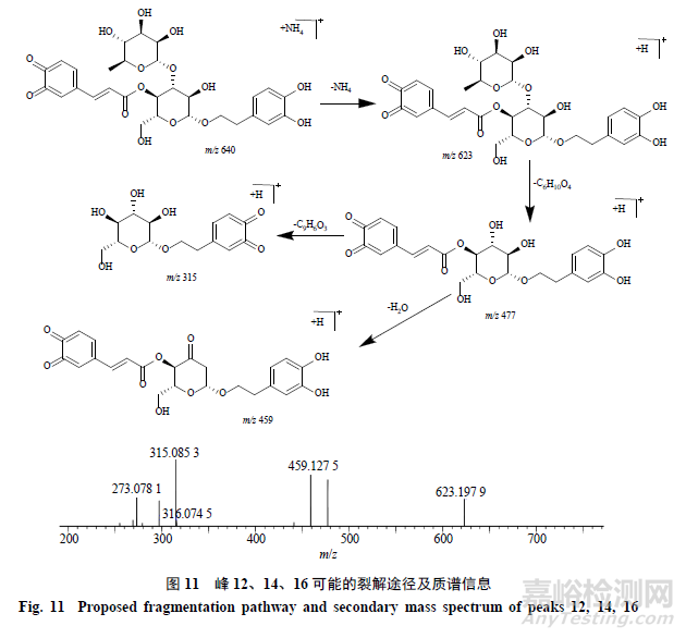 pH對(duì)毛蕊花糖苷穩(wěn)定性影響及降解產(chǎn)物分析