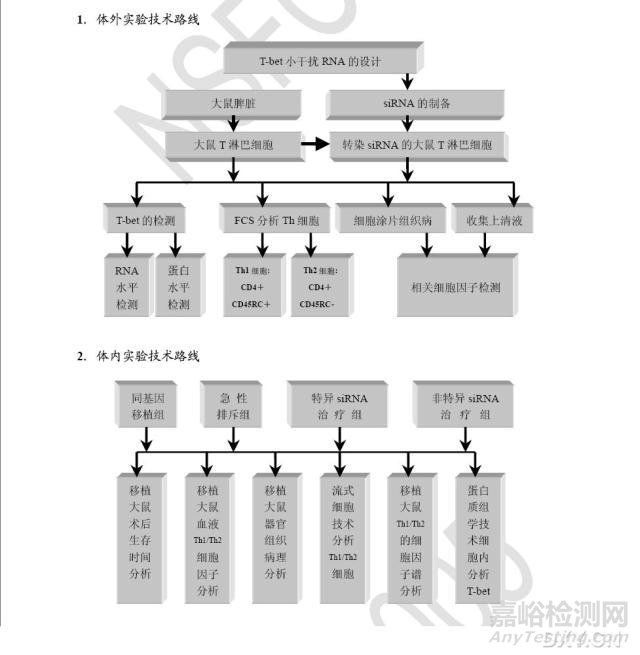 如何繪制最合適的技術(shù)路線圖？