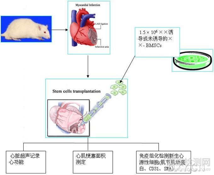 如何繪制最合適的技術(shù)路線圖？