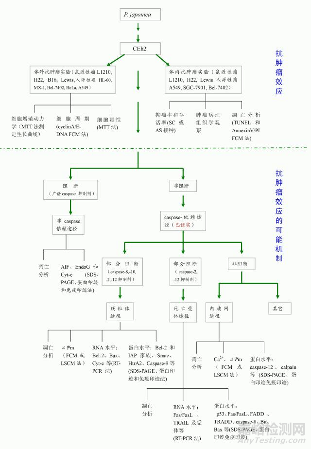 如何繪制最合適的技術(shù)路線圖？